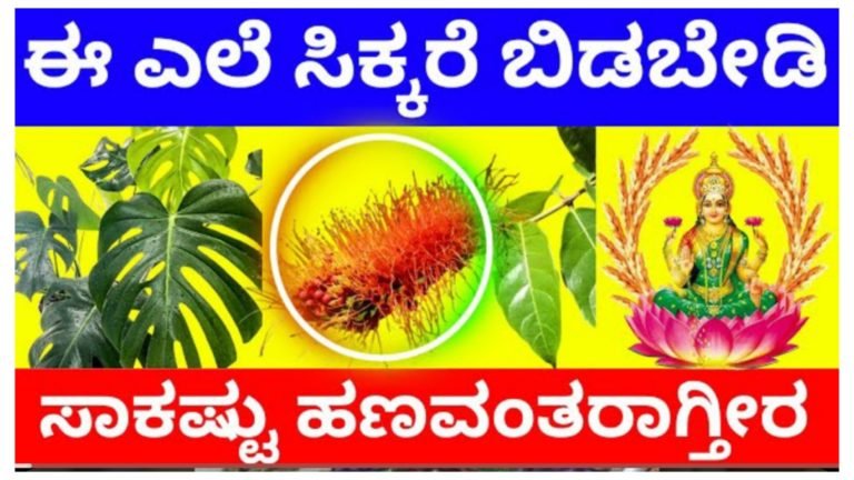 ಈ ಎಲೆ ಎಲ್ಲೇ ಸಿಕ್ಕರೂ ಬಿಡಲೇಬೇಡಿ, ಸಾಕಷ್ಟು ಶ್ರೀಮಂತರಾಗುತ್ತೀರಿ.!