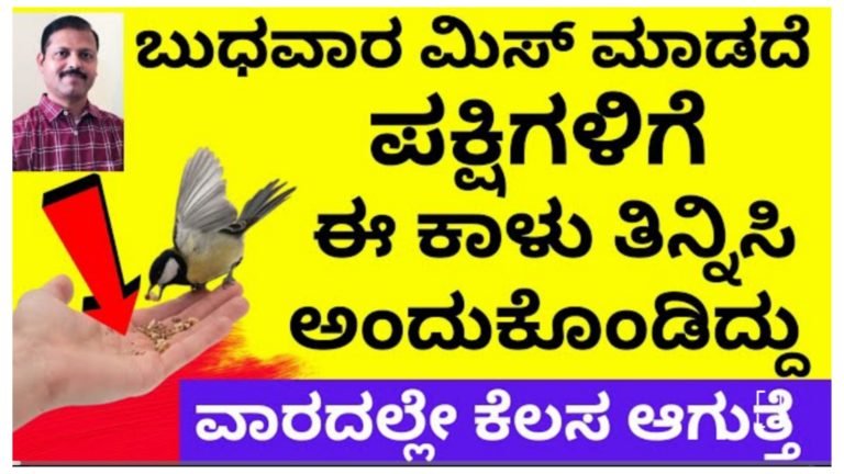 ಬುಧವಾರದ ಪಕ್ಷಿಗಳಿಗೆ ಮಿಸ್ ಮಾಡದೆ ಈ ಕಾಳು ತಿನ್ನಿಸಿ, ನೀವು ಅಂದುಕೊಂಡ ಕೆಲಸ 100% ವಾರದೊಳಗೆ ಆಗುತ್ತೆ.! ಬುಧವಾರದ ಪಕ್ಷಿಗಳಿಗೆ ಮಿಸ್ ಮಾಡದೆ ಈ ಕಾಳು ತಿನ್ನಿಸಿ, ನೀವು ಅಂದುಕೊಂಡ ಕೆಲಸ 100% ವಾರದೊಳಗೆ ಆಗುತ್ತೆ.!