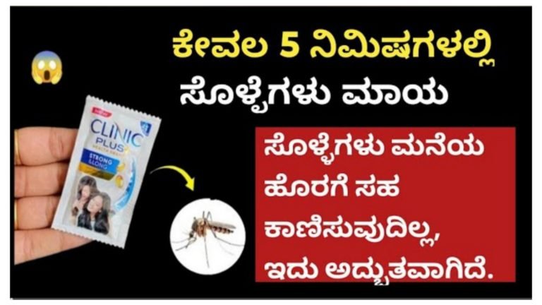 ಸೊಳ್ಳೆ ಕಾಟವೇ? ಕೇವಲ ಐದು ನಿಮಿಷಗಳಲ್ಲಿ ಸೊಳ್ಳೆ ಓಡಿಸಲು ಈ ಉಪಾಯ ಮಾಡಿ.!