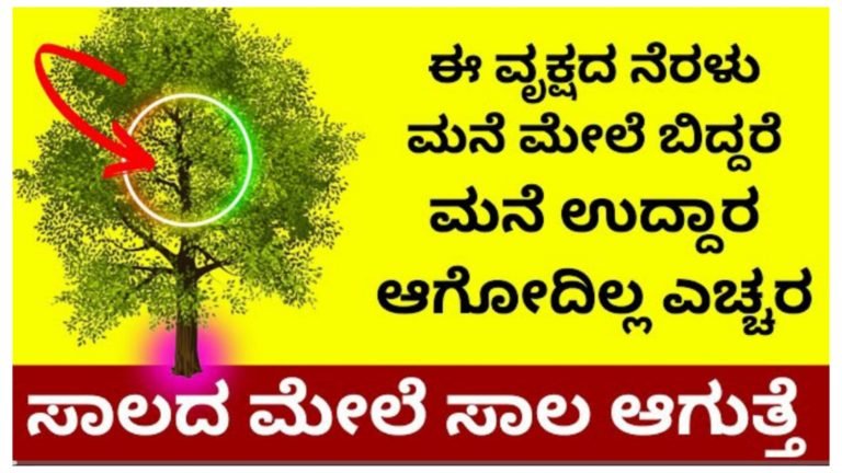 ಈ ವೃಕ್ಷದ ನೆರಳೇನಾದರೂ ಮನೆ ಮೇಲೆ ಬಿದ್ದರೆ ಮನೆ ಉದ್ದಾರ ಆಗಲ್ಲ ಎಚ್ಚರ.!