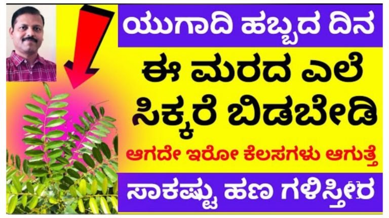 ಯುಗಾದಿ ಹಬ್ಬದ ದಿನ ಈ ಮರ ಎಲ್ಲಿ ಸಿಕ್ಕರೂ ಬಿಡಬೇಡಿ, ಆಗದೆ ಇರುವ ಕೆಲಸವೂ ಆಗುತ್ತದೆ ಸಾಕಷ್ಟು ಹಣ ಗಳಿಸುತ್ತೀರಿ.!
