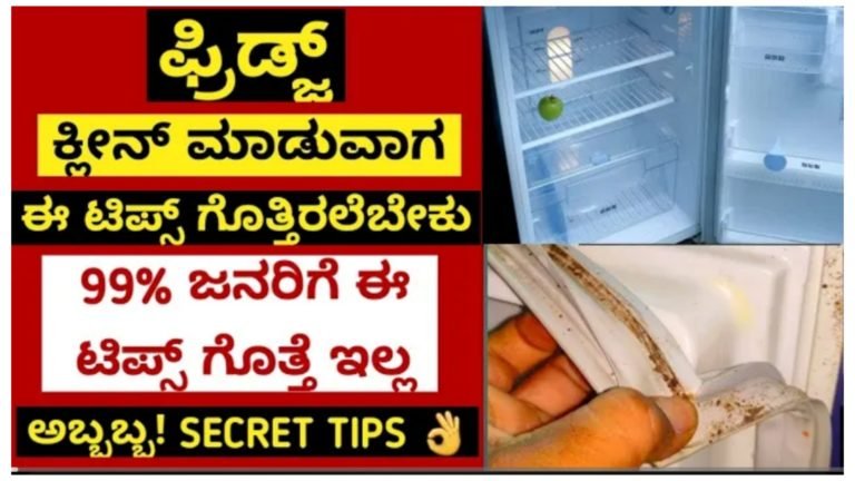 ಕೇವಲ 10 ನಿಮಿಷದಲ್ಲಿ ಫ್ರಿಡ್ಜ್ ಕ್ಲೀನ್ ಮಾಡುವ ಸುಲಭ ವಿಧಾನ.!