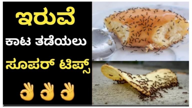 ಹೀಗೆ ಮಾಡಿದರೆ ಒಂದು ಇರುವೆ ಕೂಡ ನಿಮ್ಮ ಮನೆಯಲ್ಲಿ ಬರಲ್ಲ.!