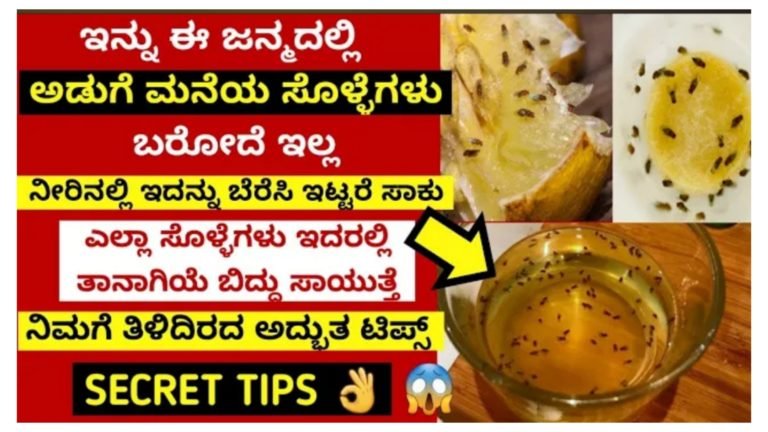 ಈ ರೀತಿ ಮಾಡಿ ಚಿಕ್ಕ ಸೊಳ್ಳೆ ಗುಂಗುರು\ನೋಣ ಯಾವುದು ನಿಮ್ಮ ಅಡುಗೆ ಮನೆಯಲ್ಲಿ ಇರಲ್ಲ.! ಈ ರೀತಿ ಮಾಡಿ ಚಿಕ್ಕ ಸೊಳ್ಳೆ ಗುಂಗುರು\ನೋಣ ಯಾವುದು ನಿಮ್ಮ ಅಡುಗೆ ಮನೆಯಲ್ಲಿ ಇರಲ್ಲ.!