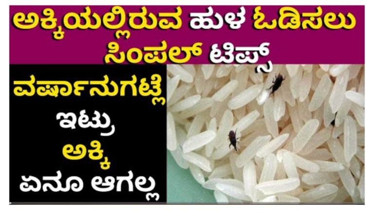ಅಕ್ಕಿಯಲ್ಲಿ ಹುಳ ಆಗಿದ್ಯಾ? ಹೀಗೆ ಮಾಡಿ ಎರಡು ವರ್ಷ ಆದ್ರೂ ಅಕ್ಕಿ ಏನೂ ಆಗಲ್ಲ.!