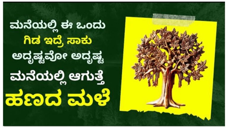 ಇದೊಂದು ವಾಸ್ತುಗಿಡ ನಿಮ್ಮ ಮನೆಯಲ್ಲಿದ್ದರೆ ಶ್ರೀಮಂತರಾಗ್ತೀರಾ.!