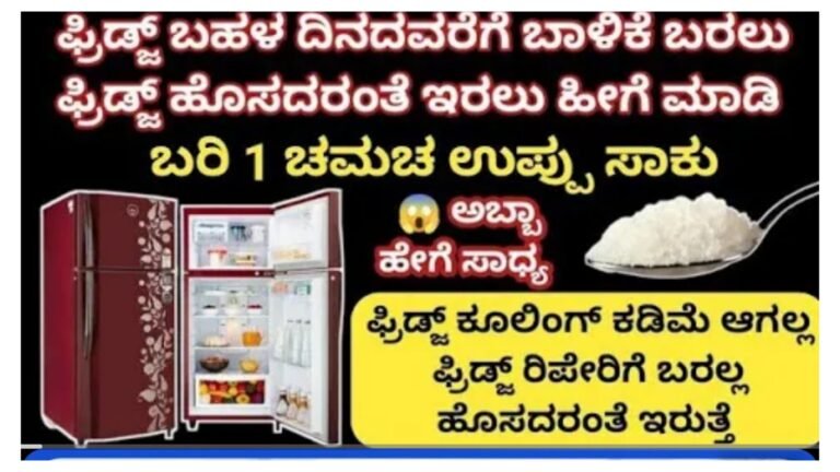 ಫ್ರಿಡ್ಜ್ ಯಾವತ್ತು ಹೊಸದರಂತೆ ಇರುತ್ತೆ ಫ್ರಿಡ್ಜ್ ಯಾವತ್ತು ರಿಪೇರಿಗೆ ಬರಲ್ಲ..!