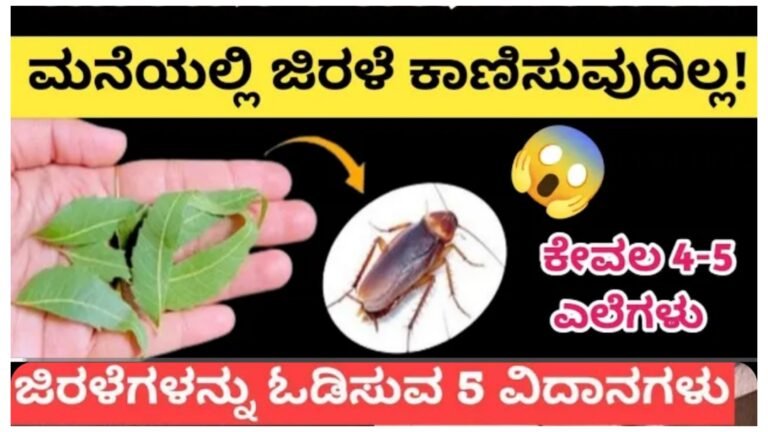 ಮನೆಯಲ್ಲಿ ಜಿರಳೆ ಇದ್ದರೆ ಹೀಗೆ ಮಾಡಿ.!