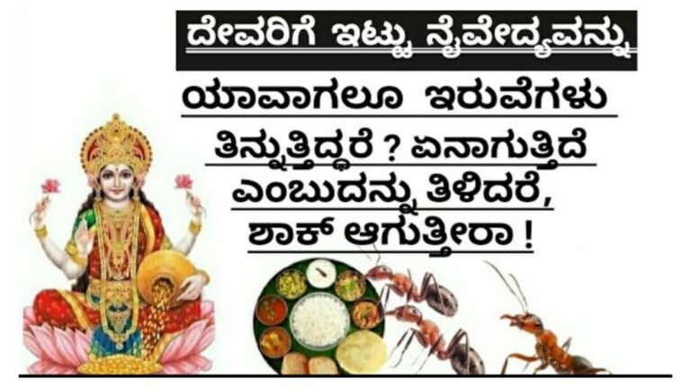 ದೇವರಿಗೆ ಇಡುವ ನೈವೇದ್ಯ ಹೇಗಿರಬೇಕು? ದೇವರ ನೈವೇದ್ಯವನ್ನು ಹಾಗೇ ಇಟ್ಟರೆ ಏನಾಗುತ್ತೆ ? ದೇವರಿಗೆ ಇಟ್ಟ ನೈವೇದ್ಯ ಇರುವೆಗಳು ತಿಂದರೆ.! ದೇವರಿಗೆ ಇಡುವ ನೈವೇದ್ಯ ಹೇಗಿರಬೇಕು? ದೇವರ ನೈವೇದ್ಯವನ್ನು ಹಾಗೇ ಇಟ್ಟರೆ ಏನಾಗುತ್ತೆ ? ದೇವರಿಗೆ ಇಟ್ಟ ನೈವೇದ್ಯ ಇರುವೆಗಳು ತಿಂದರೆ.!