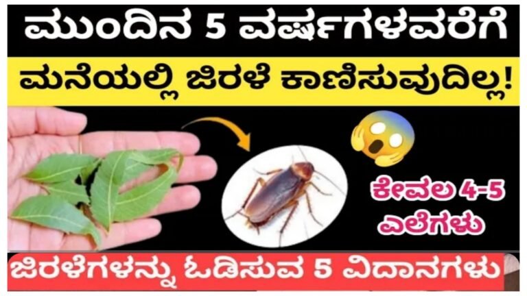 ಮನೆಯಲ್ಲಿ ಜಿರಳೆ ಇದಿಯಾ.? ಚಿಂತೆ ಬಿಡಿ ಈ ಟಿಪ್ಸ್ ಫಾಲೋ ಮಾಡಿ ಸಾಕು ಜಿರಳೆ ಹುಡುಕಿದರೂ ಸಿಗುವುದಿಲ್ಲ.
