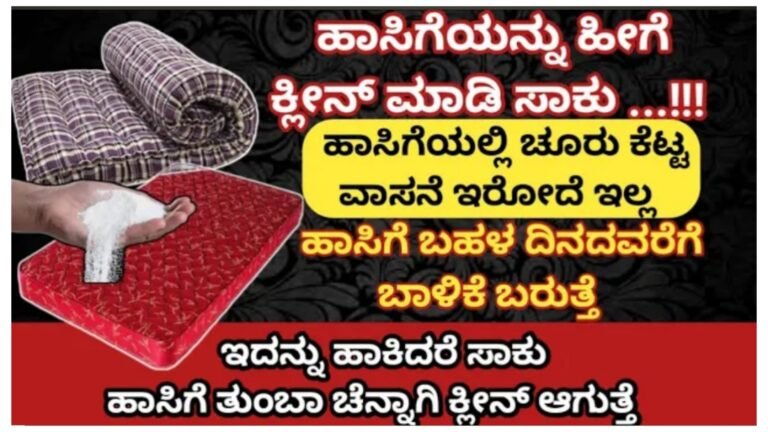 ಹಾಸಿಗೆಯನ್ನು ಹೊಸದರಂತೆ ಮಾಡ್ಬೇಕಾ.! ಹಾಸಿಗೆಯನ್ನು ಕ್ಲೀನ್ ಮಾಡುವ ಸೂಪರ್ ಟಿಪ್ಸ್ .! ಹಾಸಿಗೆಯನ್ನು ಹೊಸದರಂತೆ ಮಾಡ್ಬೇಕಾ.! ಹಾಸಿಗೆಯನ್ನು ಕ್ಲೀನ್ ಮಾಡುವ ಸೂಪರ್ ಟಿಪ್ಸ್ .!