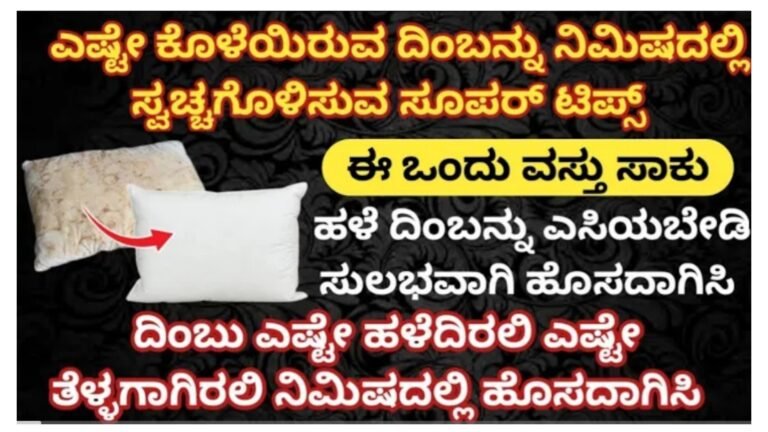 ಎಷ್ಟೇ ಕೊಳೆಯಿರುವ ದಿಂಬು, ತೆಳ್ಳಗಾಗಿರುವ ದಿಂಬನ್ನು ಕಸಕ್ಕೆ ಎಸೆಯಬೇಡಿ ಸುಲಭವಾಗಿ ನಿಮಿಷದಲ್ಲಿ ಹೊಸದಾಗಿಸಿ…….|| ಎಷ್ಟೇ ಕೊಳೆಯಿರುವ ದಿಂಬು, ತೆಳ್ಳಗಾಗಿರುವ ದಿಂಬನ್ನು ಕಸಕ್ಕೆ ಎಸೆಯಬೇಡಿ ಸುಲಭವಾಗಿ ನಿಮಿಷದಲ್ಲಿ ಹೊಸದಾಗಿಸಿ…….||