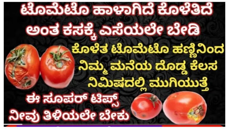 ಕೊಳೆತ ಟೊಮೆಟೊ ಅನ್ನು ಯಾವುದೇ ಕಾರಣಕ್ಕೂ ಕಸಕ್ಕೆ ಎಸೆಯಬೇಡಿ ಇದು ಮನೆಯ ದೊಡ್ಡ ಕೆಲಸಕ್ಕೆ ಬರುತ್ತದೆ.! ಕೊಳೆತ ಟೊಮೆಟೊ ಅನ್ನು ಯಾವುದೇ ಕಾರಣಕ್ಕೂ ಕಸಕ್ಕೆ ಎಸೆಯಬೇಡಿ ಇದು ಮನೆಯ ದೊಡ್ಡ ಕೆಲಸಕ್ಕೆ ಬರುತ್ತದೆ.!