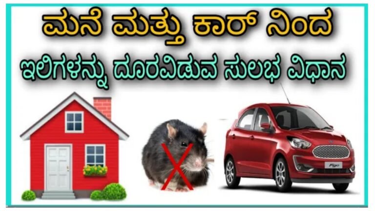 ಮನೆ ಮತ್ತು ಕಾರ್ ನಿಂದ ಇಲಿಗಳನ್ನು ದೂರವಿಡುವ ಸುಲಭ ವಿಧಾನ.! ಮನೆ ಮತ್ತು ಕಾರ್ ನಿಂದ ಇಲಿಗಳನ್ನು ದೂರವಿಡುವ ಸುಲಭ ವಿಧಾನ.!